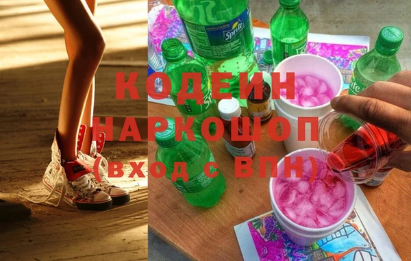 хмурый Покачи