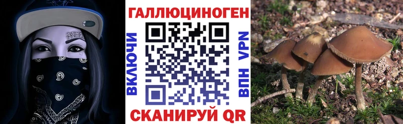 дарк нет телеграм  Фокино  Галлюциногенные грибы мицелий  цены  